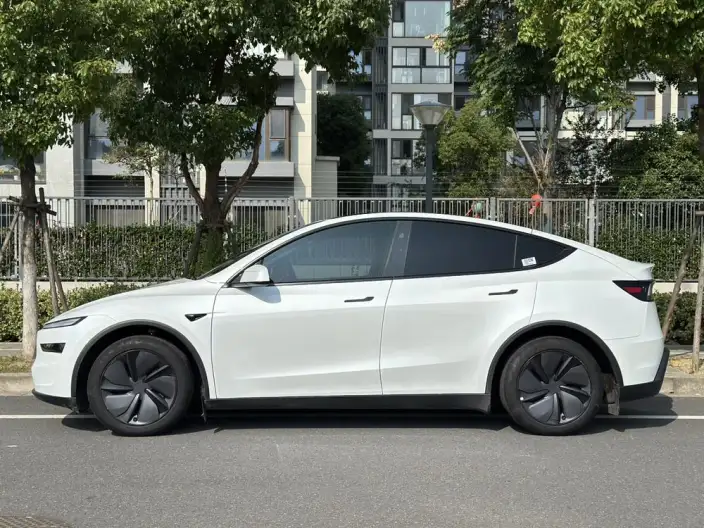 Model Y 2025 Model Rear-wheel drive version – фото 4