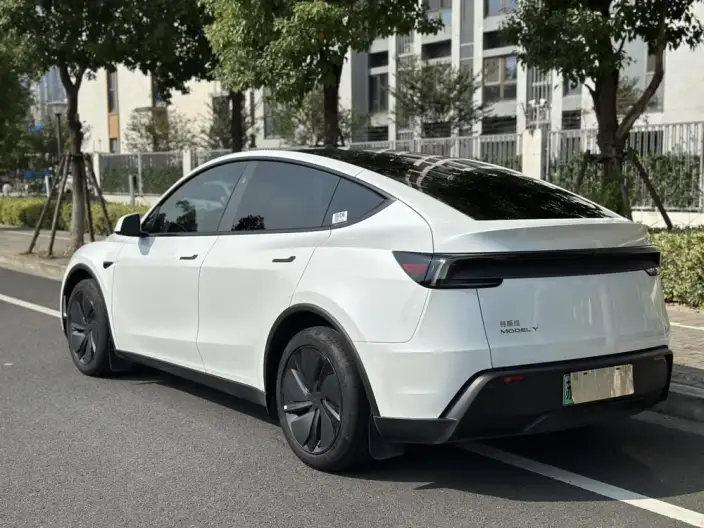 Model Y 2025 Model Rear-wheel drive version – фото 5