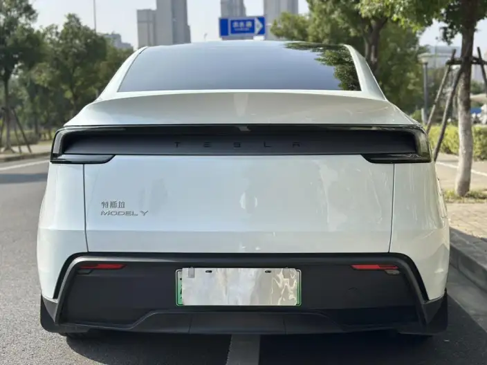 Model Y 2025 Model Rear-wheel drive version – фото 6
