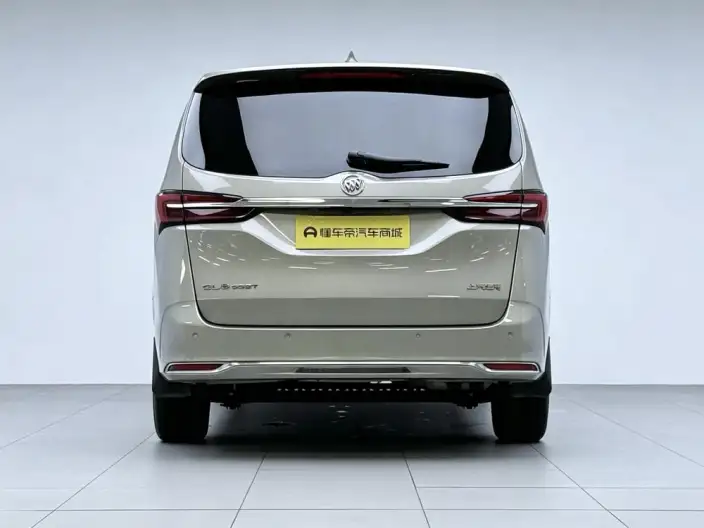 Buick GL8 2022 Model Business class 652T Luxury Model – фото 6