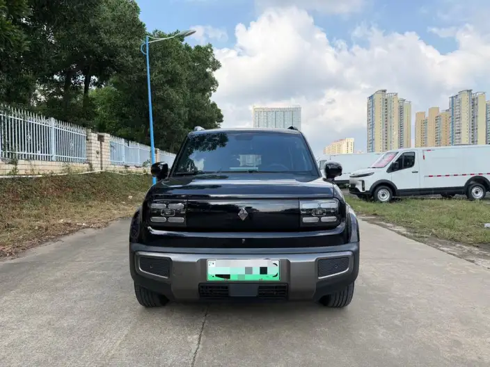 Yueye Plus 2026 Model 301km Ultimate Edition – фото 2