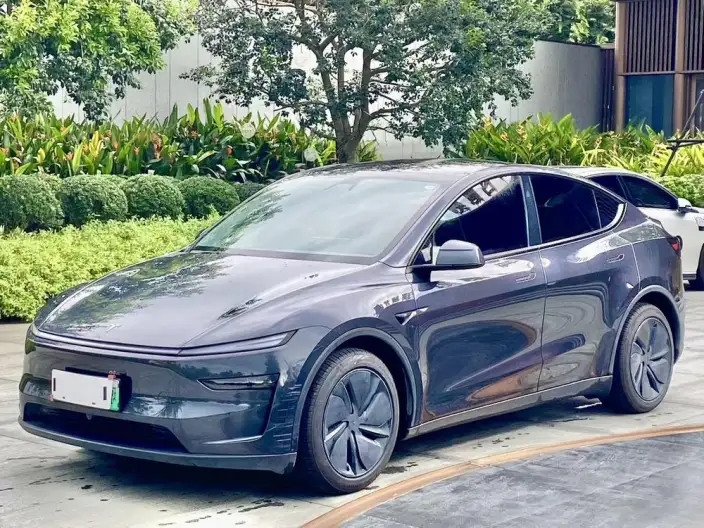 Model Y 2025 Model Rear-wheel drive version – фото 1