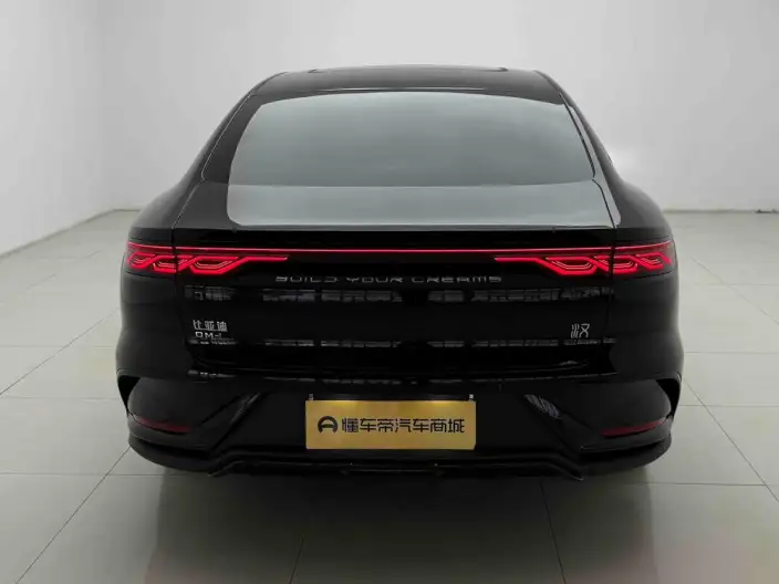 BYD Han DM 2025 Model DM-i 125KM Noble Model – фото 6