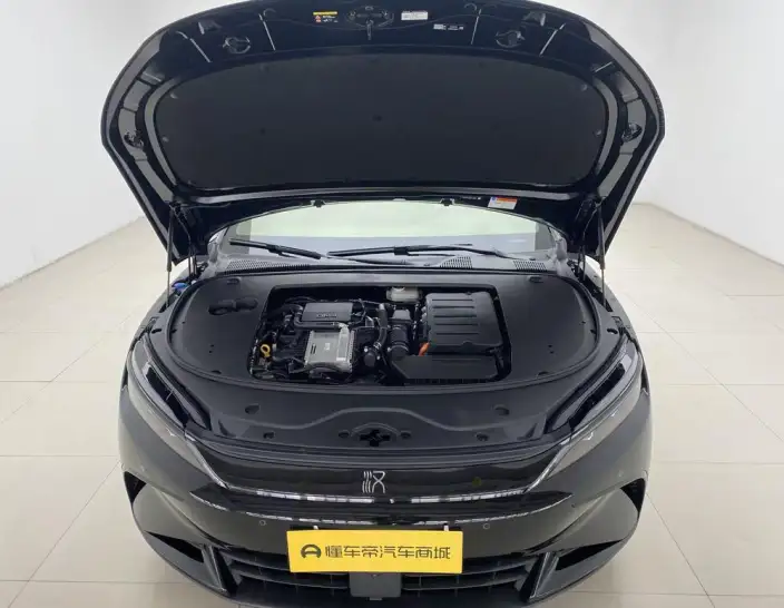 BYD Han DM 2025 Model DM-i 125KM Noble Model – фото 10