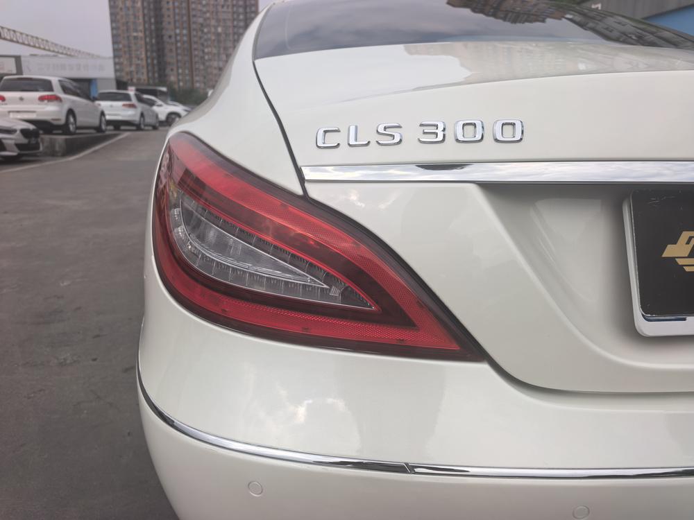 Mercedes-Benz CLS 2012 CLS 300 CGI – фото 10