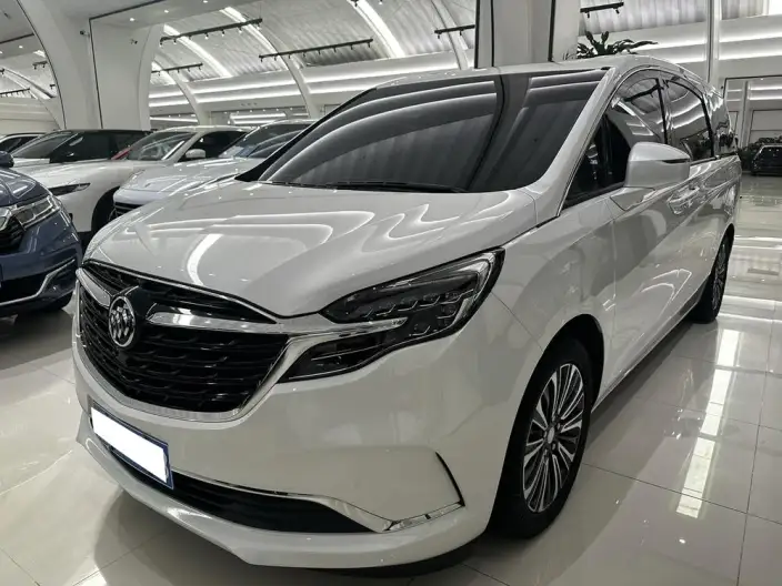 Buick GL8 2021 Model ES Luzun 653T Comfort Model – фото 1