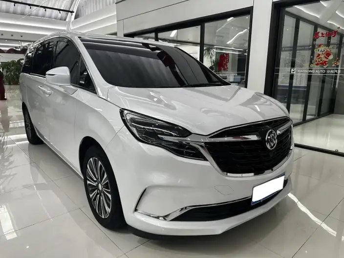 Buick GL8 2021 Model ES Luzun 653T Comfort Model – фото 3