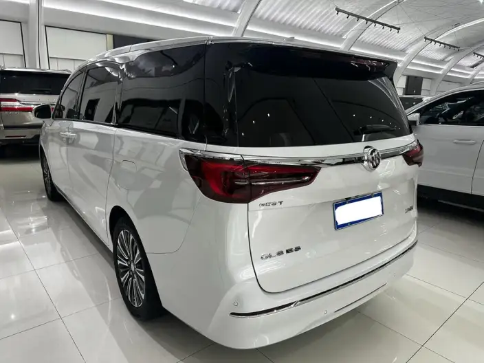 Buick GL8 2021 Model ES Luzun 653T Comfort Model – фото 4