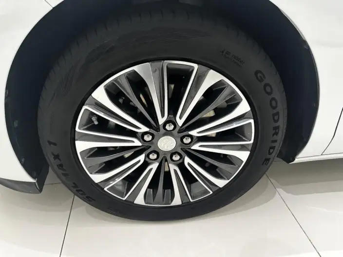 Buick GL8 2021 Model ES Luzun 653T Comfort Model – фото 8