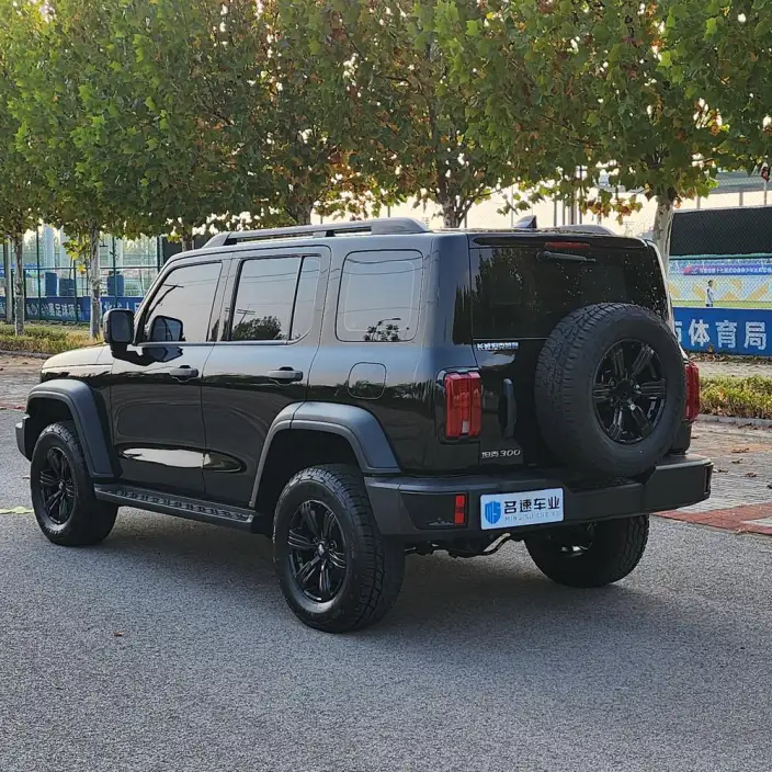 Tank 300 2024 Model 2.0T Challenger