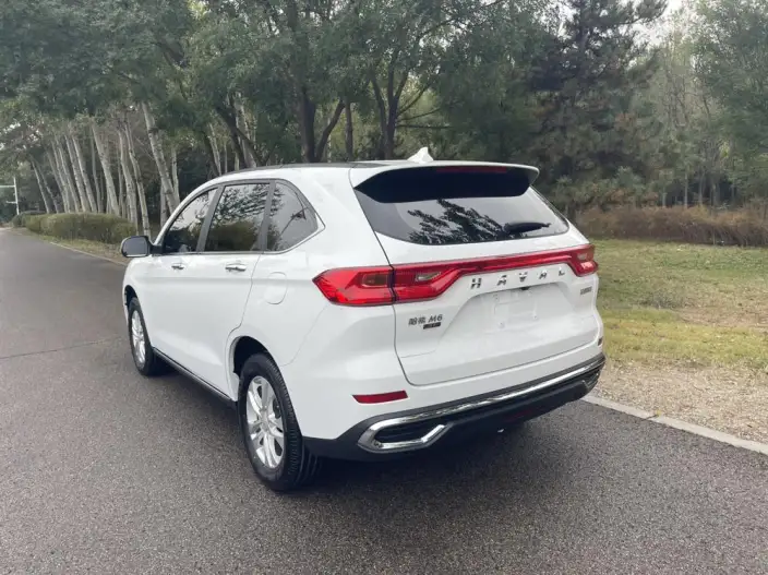 Haval M6 2021 Model PLUS 1.5T Manual Elite Smart Connect Model – фото 5
