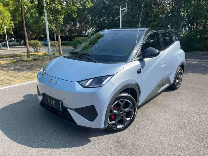 BYD Seagull 2025 Model Smart Driving Edition 305KM Free Edition – фото 1