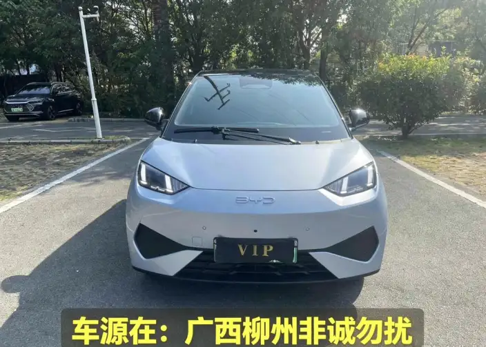 BYD Seagull 2025 Model Smart Driving Edition 305KM Free Edition – фото 2