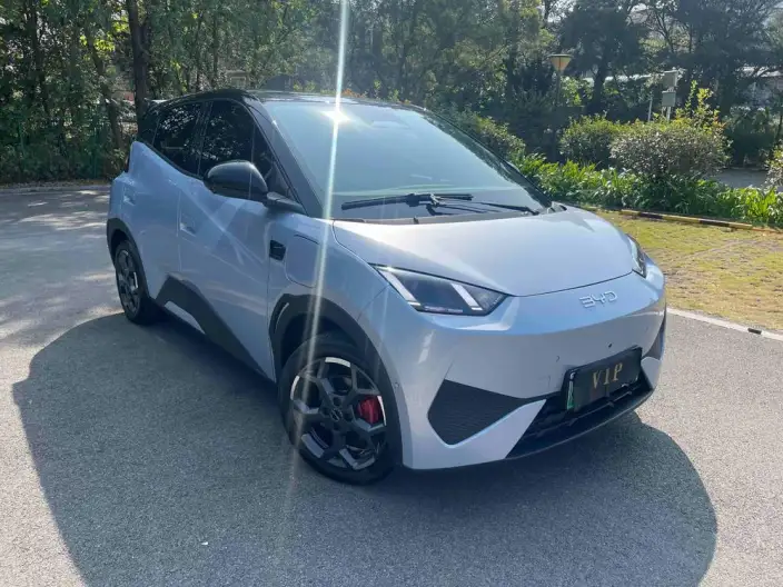 BYD Seagull 2025 Model Smart Driving Edition 305KM Free Edition – фото 3