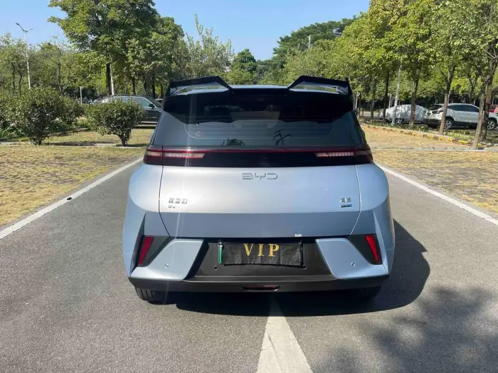 BYD Seagull 2025 Model Smart Driving Edition 305KM Free Edition – фото 6