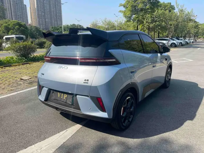 BYD Seagull 2025 Model Smart Driving Edition 305KM Free Edition – фото 7