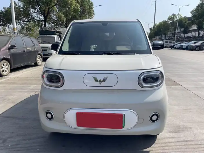 Wuling Hongguang MINIEV 2024 Model 215km Youth Edition Lithium Iron Phosphate
