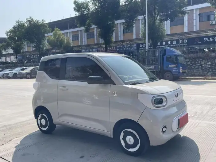Wuling Hongguang MINIEV 2024 Model 215km Youth Edition Lithium Iron Phosphate