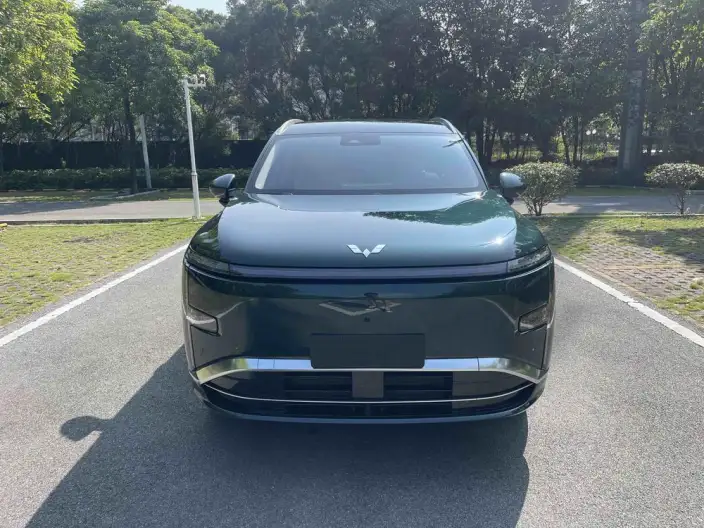Xingguang L 2026 Model 260km VI seat Flagship Model