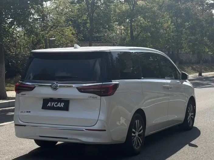 Buick GL8 2022 Model ES Luzun 653T Smart Luxury Model – фото 6