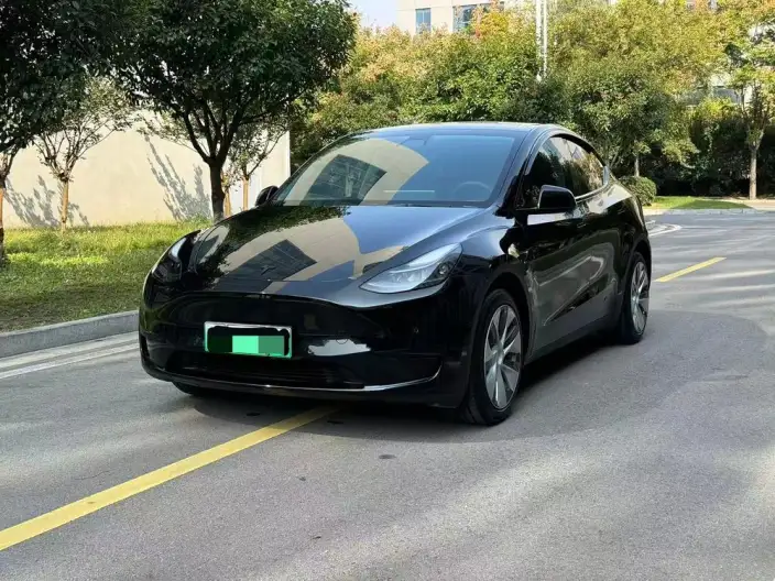 Model Y 2022 Model Rear-wheel drive version – фото 1