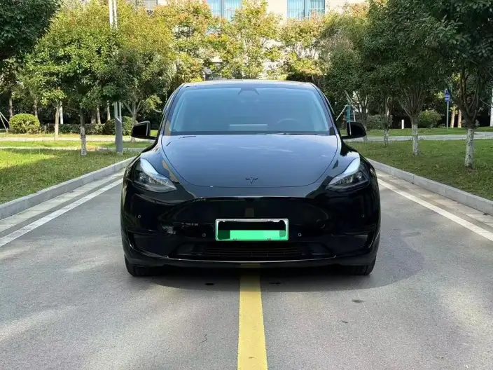 Model Y 2022 Model Rear-wheel drive version – фото 2