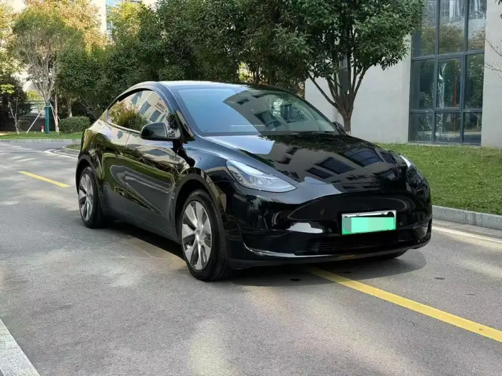 Model Y 2022 Model Rear-wheel drive version – фото 3