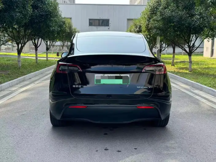 Model Y 2022 Model Rear-wheel drive version – фото 5