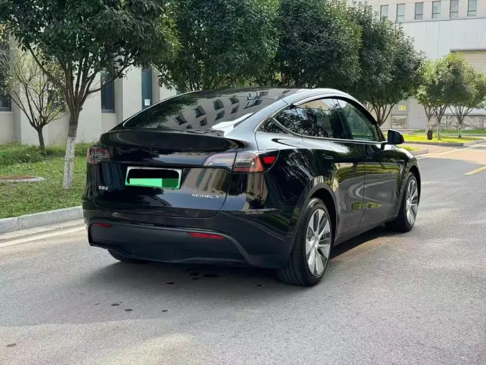 Model Y 2022 Model Rear-wheel drive version – фото 6