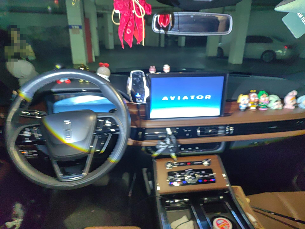 Aviator 2022 3.0T V6 4WD Premium – фото 5