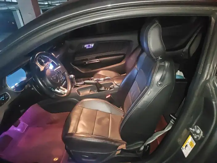 Mustang 2021 Model 2.3T EcoBoost – фото 10