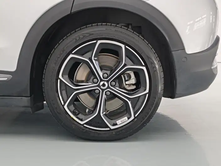 smart #3 2023 Model Pulse 4WD Edition – фото 9