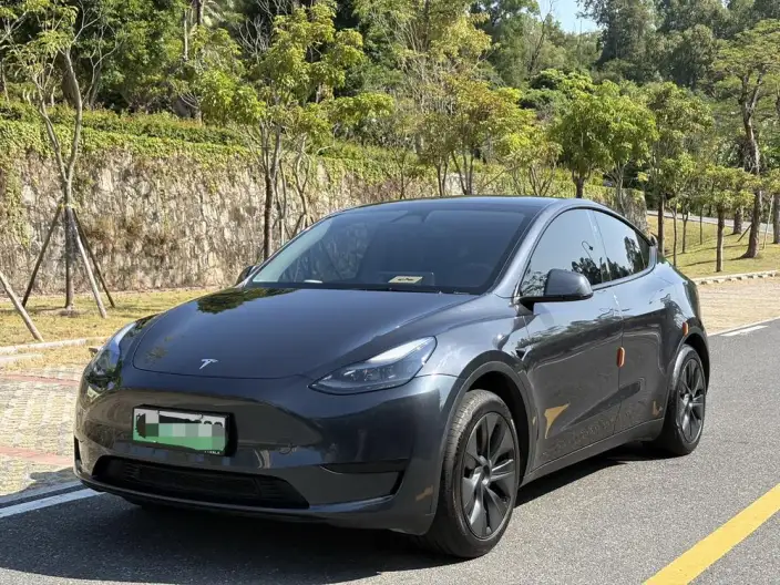 Model Y 2024 Model Rear-wheel drive version – фото 1