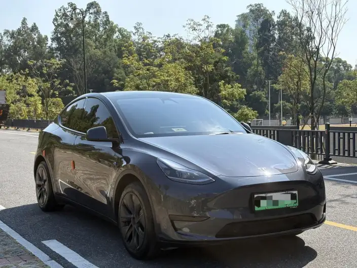 Model Y 2024 Model Rear-wheel drive version – фото 3