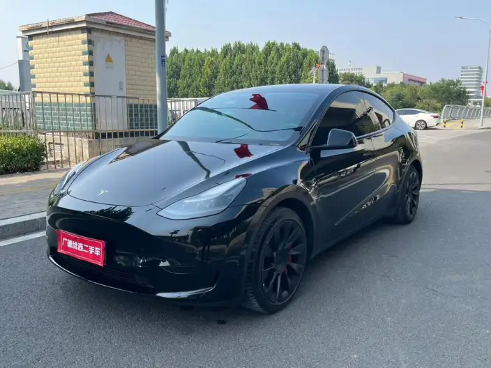 Model Y 2022 Model Rear-wheel drive version – фото 1