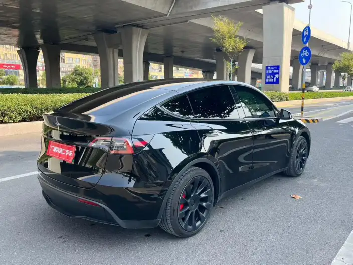 Model Y 2022 Model Rear-wheel drive version – фото 6