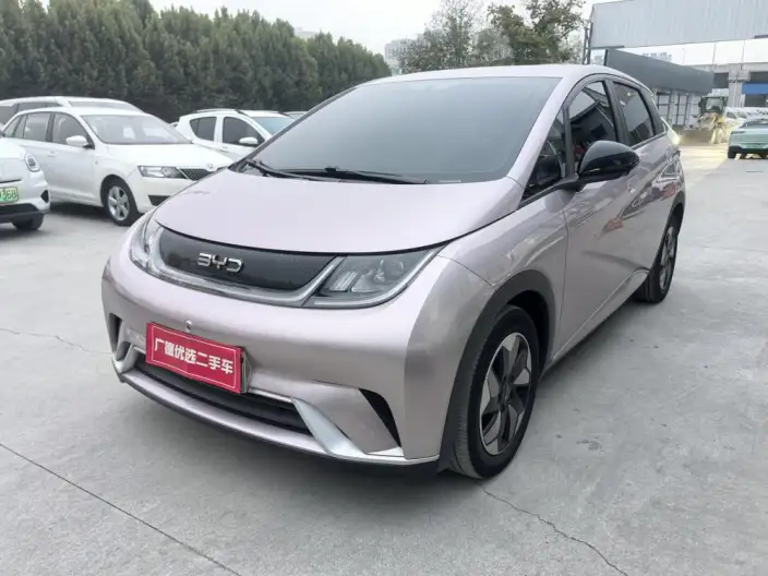 BYD Dolphin 2024 Model Honor Edition 420km Free Edition – фото 1