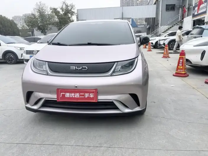 BYD Dolphin 2024 Model Honor Edition 420km Free Edition – фото 2