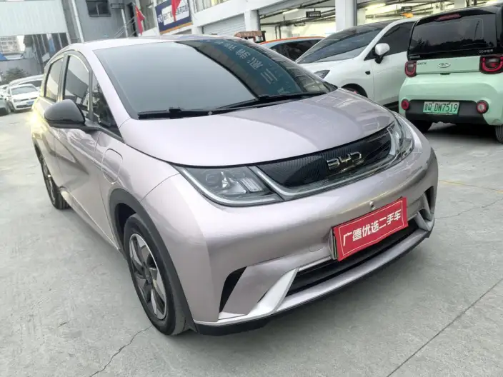 BYD Dolphin 2024 Model Honor Edition 420km Free Edition – фото 3