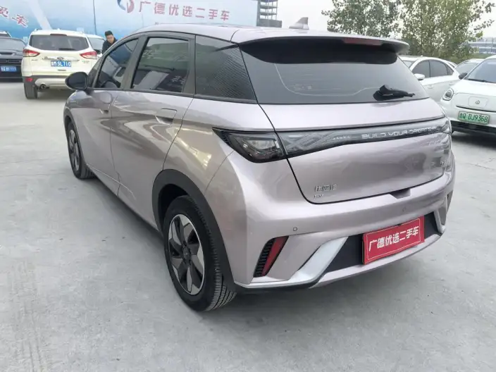 BYD Dolphin 2024 Model Honor Edition 420km Free Edition – фото 4