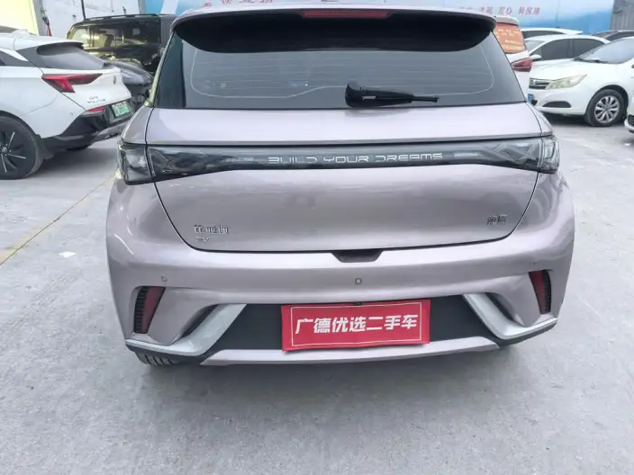 BYD Dolphin 2024 Model Honor Edition 420km Free Edition – фото 5