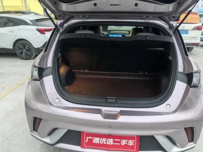 BYD Dolphin 2024 Model Honor Edition 420km Free Edition – фото 9