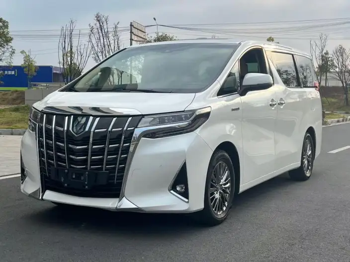 Elfa 2021 Model Hybrid 2.5L Premium Edition – фото 1