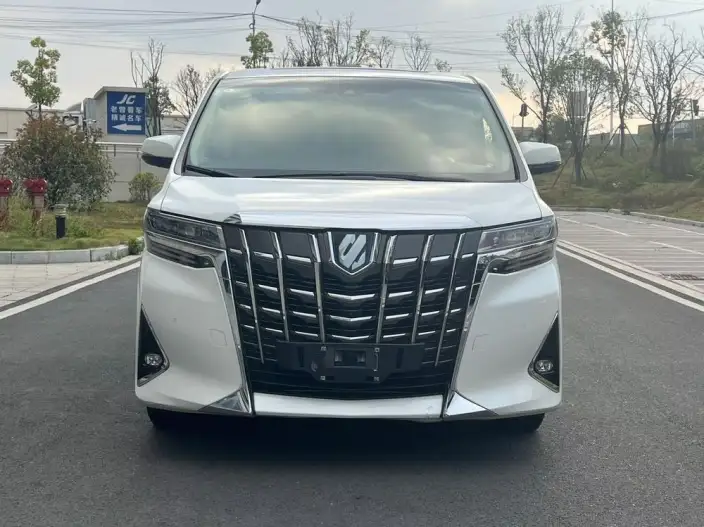 Elfa 2021 Model Hybrid 2.5L Premium Edition – фото 2