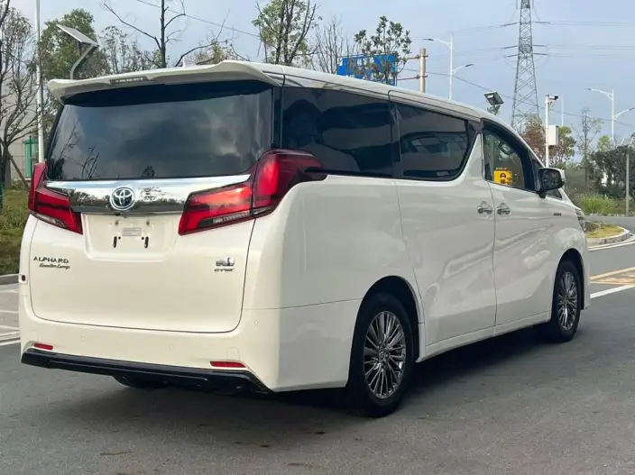 Elfa 2021 Model Hybrid 2.5L Premium Edition – фото 6