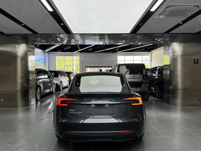 Model 3 2023 Model Rear-wheel drive version – фото 4