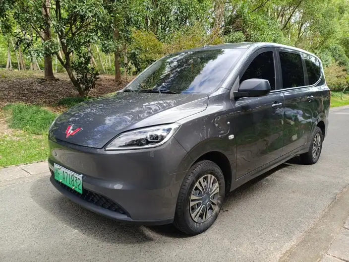 Wuling Hongguang EV Edition 2024 Model 300KM Standard Model
