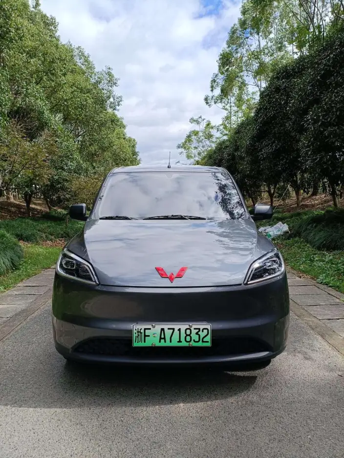 Wuling Hongguang EV Edition 2024 Model 300KM Standard Model