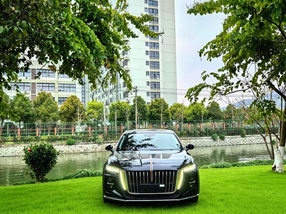 Hongqi H5 2023 2.0T Automatic Smart Connect Flag Smooth – фото 2