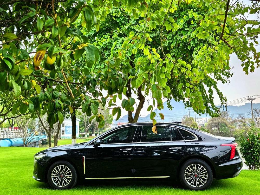 Hongqi H5 2023 2.0T Automatic Smart Connect Flag Smooth – фото 3